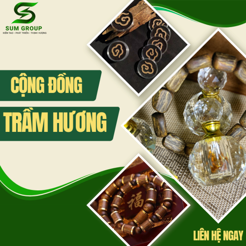 Cộng Đồng Trầm Hương